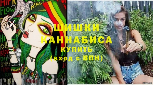 шишки Алзамай