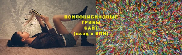 шишки Алзамай