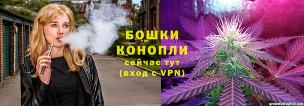 шишки Алзамай
